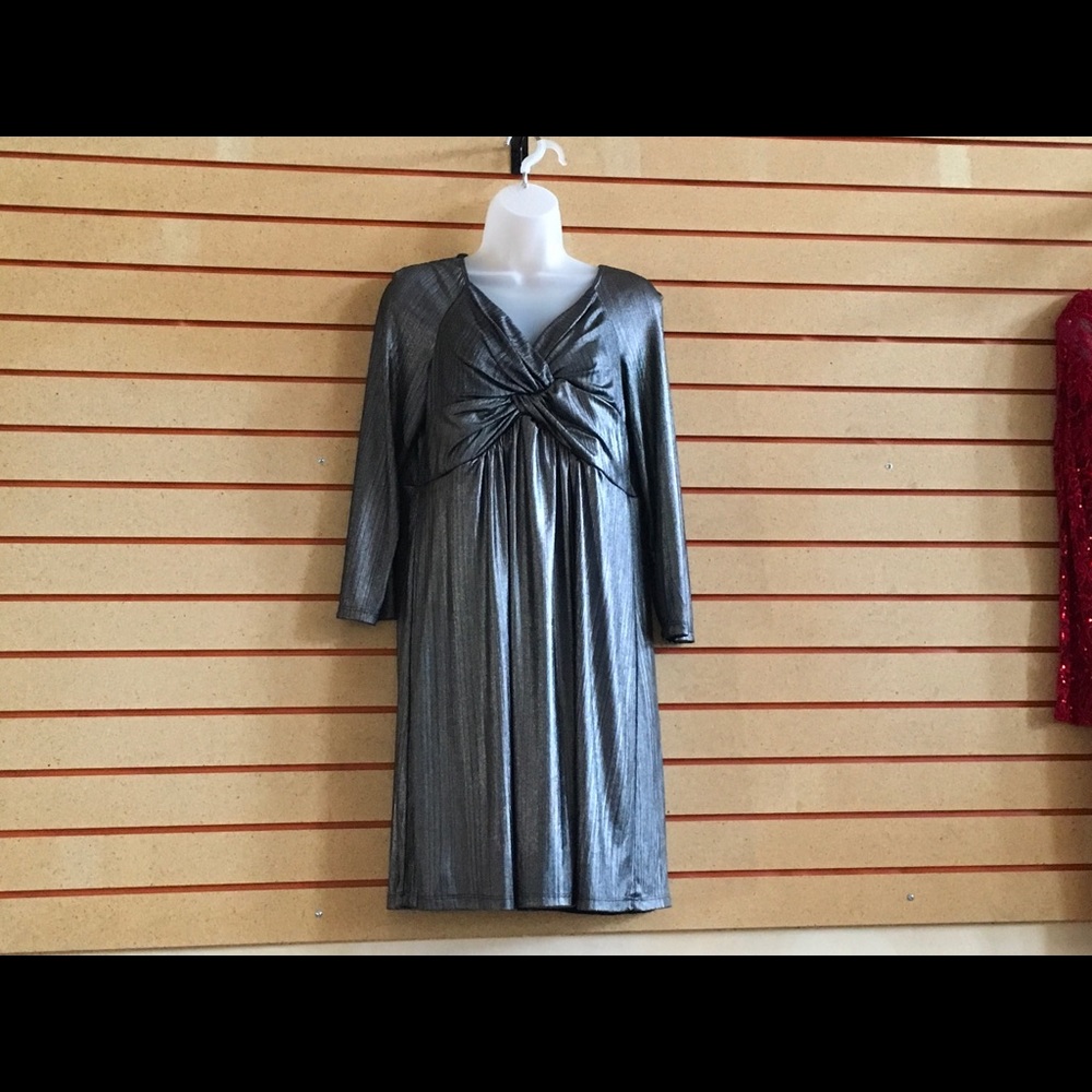 Women Silver Dress
